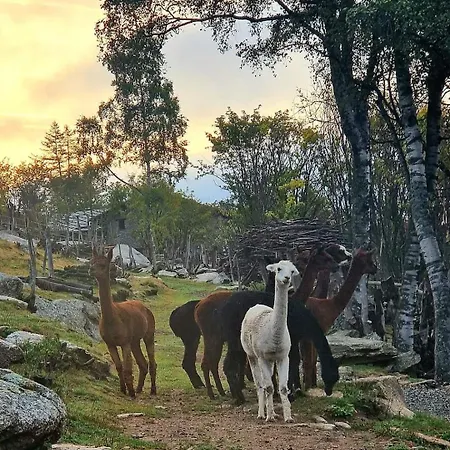 Monvisorelax Luxuszelt *