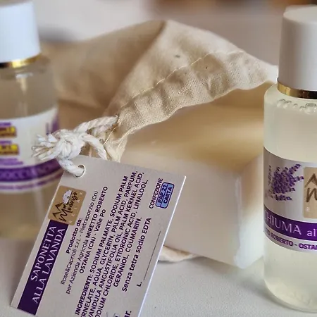 Monvisorelax * Ostana