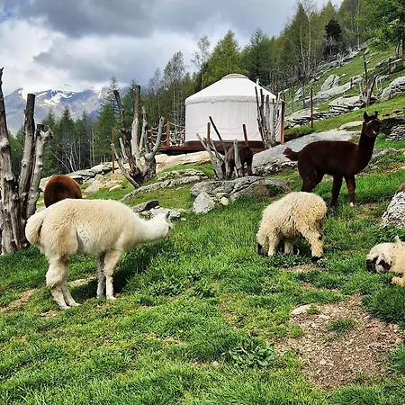 خيمة فخمة Monvisorelax *